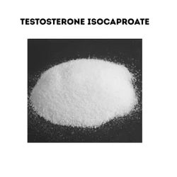 RAW POWDER TESTOSTERONE ISOCAPROATE CAS NO 15262-86-9, USP