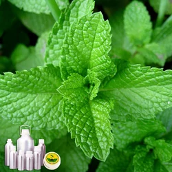 Menthol Oil