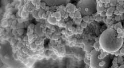 Hydroxyapatite Nanoparticles