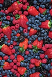 Quercetin 99 Percent Extract Powder