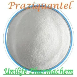 Praziquantel Powder