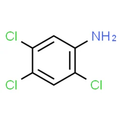 2 4 5 Trichloro Aniline