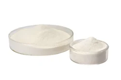 White Lipase Powder