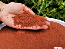 Astaxanthin Extract Powder