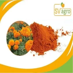 Zeaxanthin Extract Powder, Packaging Type: PP Polybags,Hdpe Drums, Packaging Size: 25 Kg