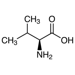 99% L-Valine (working standard), Analytical Grade