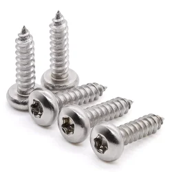 Stainless Steel 12mm Thorx Head Screw