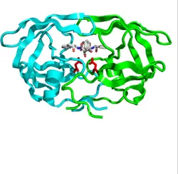 Mannanase Enzyme Powder, Packaging Size: 25
