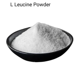 L Leucine Powder