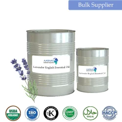 Lavandula Angustifolia English Lavender Oil