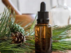 Liquid Organic Pine Essential Oil, For Food And Cosmetic, 100% Pure