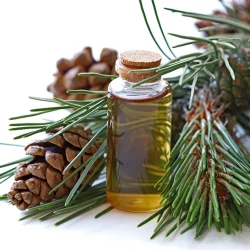 Pine Essential Oil, For Pharma, 100% Pure