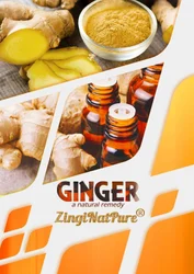 Ginger Dry Extracts 5%