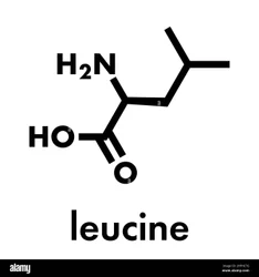 L Leucine Powder, HDPE Bag