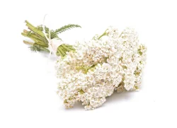 Steam Distilled Achillea Millefolium Yarrow Essential Oil