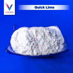 Quick Lime, Powder, Packaging Size: 25 kg