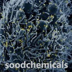 Sc21nC MAX Phase Powder, Grade Standard: Research & Development