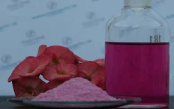 19:19:19 NPK Fertilizer Powder, PP Bag