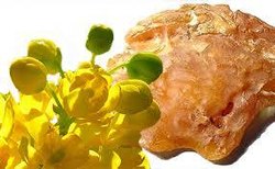 Di Hydro Beta Ionone