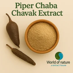 Powder Piper Chaba Chavak Extract, 1-5 Kg