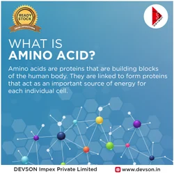 L Alanine Powder, IP