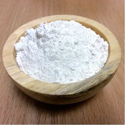 Sodium Methyl Paraben (SMP)