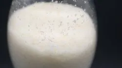 2-(3-bromo-4-phenylmethoxyphenyl)acetic acid, Cas No: 5884-48-0