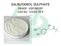 Salbutamol Sulphate Powder