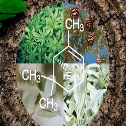 Alpha Pinene Chemical Manufacturers, Suppliers, Exporters From Vasai Mumbai India