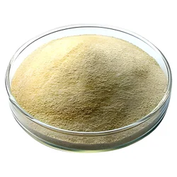 Sodium Alginate