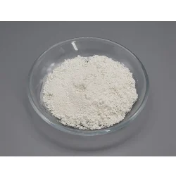 BI 1744 hydrochloride