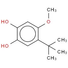 4-Tert-Butyl Pyrocatechol, >99% Purity, 1 kg Packet for Paint Industry