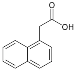 1- NAPHTHALENE ACETIC ACID