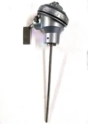 Class B Platinum Baumer make RTD Sesnor R01, 3 Wire, -40 to 450 deg C