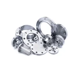Titanium Flanges