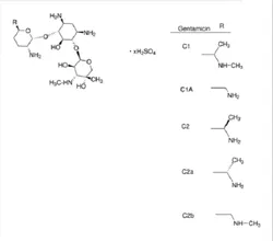 Gentamicin Sulfate (CAS Number: 1405-41-0)