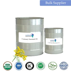 Costmary Essential Oil