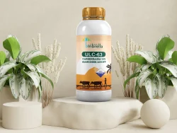 Carbendazim 12% Mancozeb 63%wp