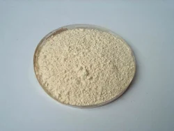 Powder Xanthan Gum For Pharma Industry, Packaging Type: PP Bag