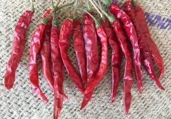 334 Dried Red Chilli Deluxe
