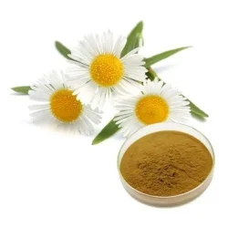CHAMOMILE EXTRACT 1:1, Packaging Type: HDPE Drum, Packaging Size: 25.00 Kg