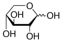 Powder White D-Xylose (CAS Number:58-86-6), Packaging Size: 1 kg / 5 kg / 10 kg / 25 kg
