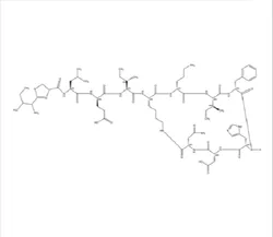 Bacitracin (CAS Number: 1405-87-4)