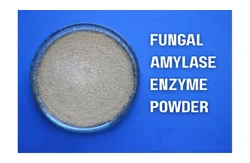 Fungal Amylase Enzyme powder, Packaging Size: 25Kg, Pack Size: 25 Kg