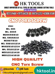 Stainless Steel M5 (5 mm) Cnc Torx Screw, Flat