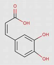 Caffeic Acid Phenethyl Ester (CAPE)