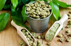 1Kg Green Coffee Extract, Packaging Type: Bottle, Powder