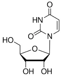 White Uridine (CAS Number: 58-96-8)