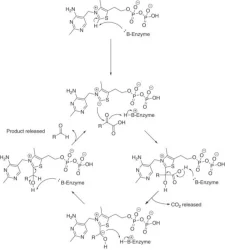 Phenylglyoxylicacid Methyl Ester (Technocure Mbf)