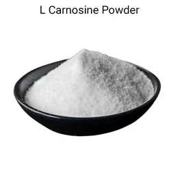 L Carnosine Powder, 25 Kg